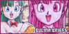 Bulma Briefs
