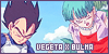 Bulma & Vegeta